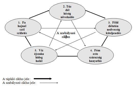 Magyarázó ábra a ciklusok megértéséhez
