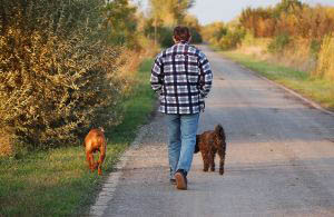 20100326_walking_with_dogs