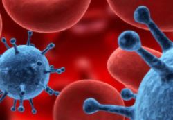 Az AIDS-nél is veszélyesebb lehet a gonorrhea új változata