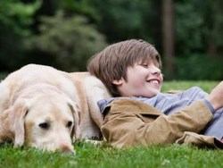 A család kutyája segíthet az autista gyerekeken