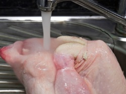 A csirke mosása növeli a fertőzésveszélyt