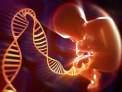 Honnan származnak a génjeink?