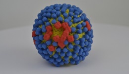 Influenzavírus modellje