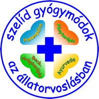 20160606-dr-kopocsi-andrea-logo
