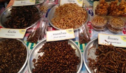 Pirított rovarok egy thai piacon